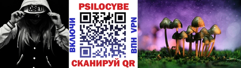 Галлюциногенные грибы Psilocybe Оха